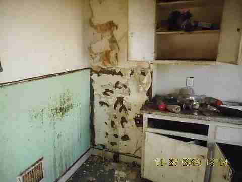 13255 Lauder (12)_m.jpg